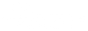 Dream University Full Logo